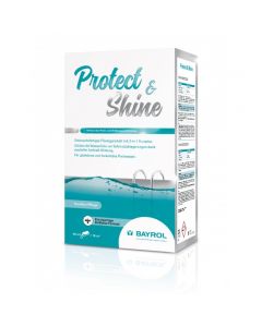 Protect & Shine 2 l