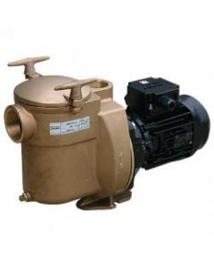 Sta-Rite Bronze Pumpe BRE-1 1PS 0,75kW 230V - CWT Culligan Wassertechnik - Bayrol - Entkalker - Wasserenthärtungsanlage - Wasserenthärtung - Dolphin - Poolroboter - Schwimmbadchemie - Poolbau - Poolsanierung