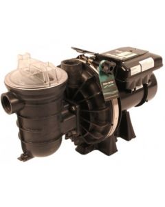 Sta-Rite Duraglas Pumpe VS 1,5PS 1,1kW 230V - CWT Culligan Wassertechnik - Bayrol - Entkalker - Wasserenthärtungsanlage - Wasserenthärtung - Dolphin - Poolroboter - Schwimmbadchemie - Poolbau - Poolsanierung