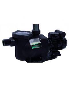 Sta-Rite Supermax Pumpe S5P1RF-1 1,1kW 240V