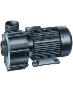 Speck Badu Pumpe ohne Vorfilter 21-80/32G - CWT Culligan Wassertechnik - Bayrol - Entkalker - Wasserenthärtungsanlage - Wasserenthärtung - Dolphin - Poolroboter - Schwimmbadchemie - Poolbau - Poolsanierung