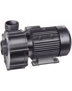 Speck Badu Pumpe ohne Vorfilter 21-80/33G - CWT Culligan Wassertechnik - Bayrol - Entkalker - Wasserenthärtungsanlage - Wasserenthärtung - Dolphin - Poolroboter - Schwimmbadchemie - Poolbau - Poolsanierung