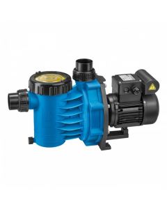 Speck Badu Alpha 6 Pumpe 0,18kW 230V - CWT Culligan Wassertechnik - Bayrol - Entkalker - Wasserenthärtungsanlage - Wasserenthärtung - Dolphin - Poolroboter - Schwimmbadchemie - Poolbau - Poolsanierung