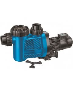 Speck Badu Eco Motion Pumpe 230V 2,20kW (blau) - CWT Culligan Wassertechnik - Bayrol - Entkalker - Wasserenthärtungsanlage - Wasserenthärtung - Dolphin - Poolroboter - Schwimmbadchemie - Poolbau - Poolsanierung