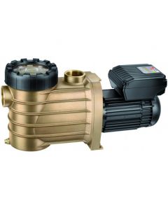 Speck Badu Bronze Pumpe Eco VS 1,10kW 230V - CWT Culligan Wassertechnik - Bayrol - Entkalker - Wasserenthärtungsanlage - Wasserenthärtung - Dolphin - Poolroboter - Schwimmbadchemie - Poolbau - Poolsanierung
