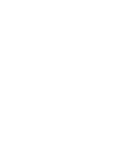 Spezial-Filterkartusche grob 200 micron (Set à 4 Stk.)